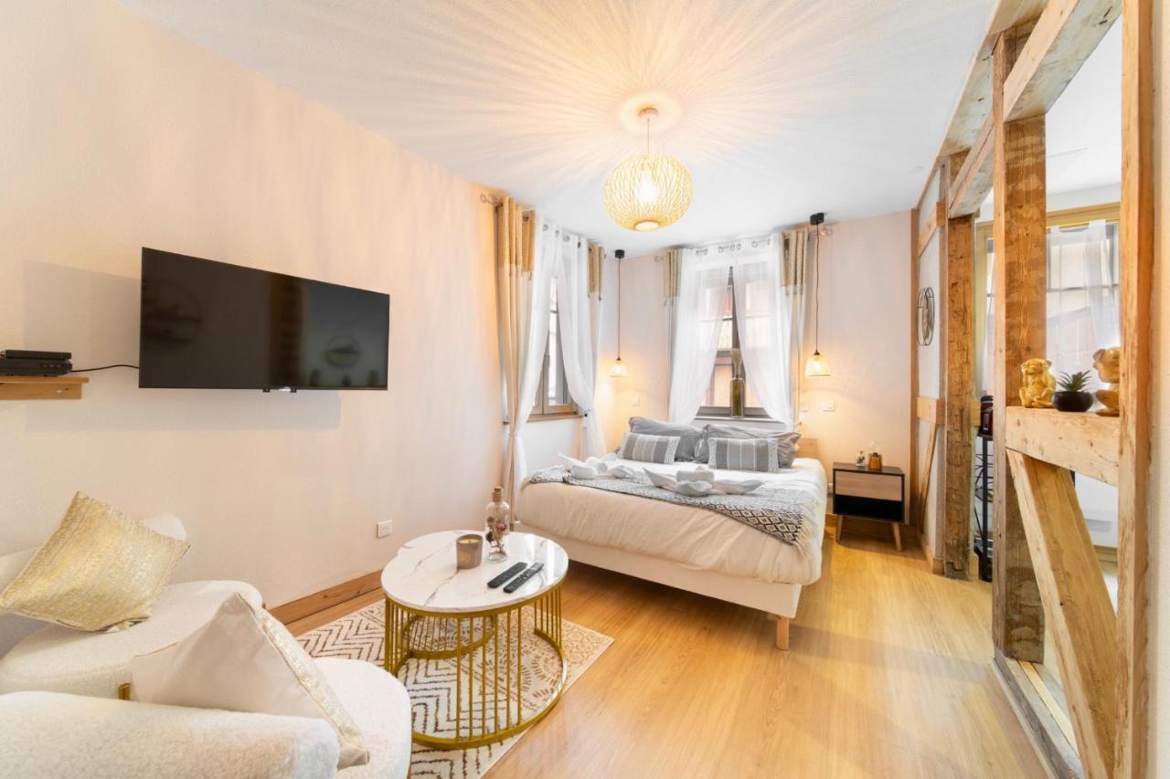 Au Petit Lion, Colmar Centre Garage Gratuit Apartment Exterior photo